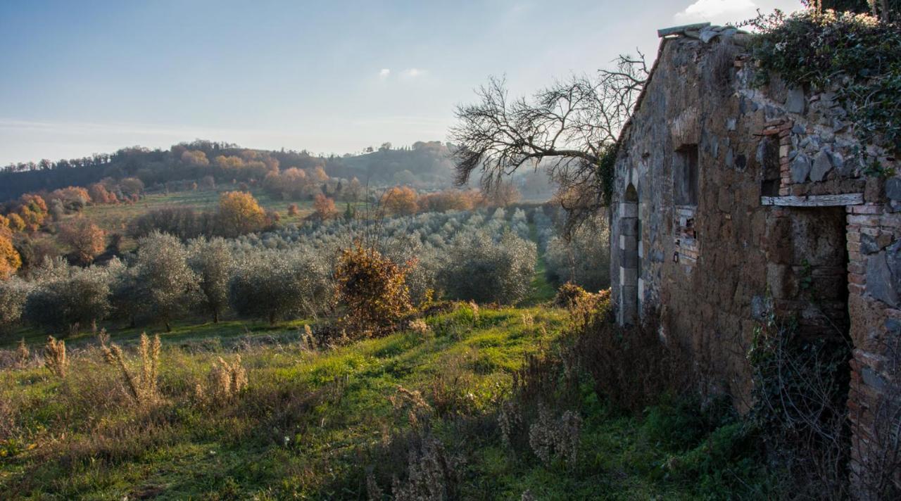 Villa Monteporzano Orvieto Room photo